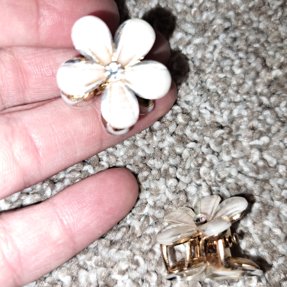 Set Of Two Hair Clip Accessory - Picture 4 of 5